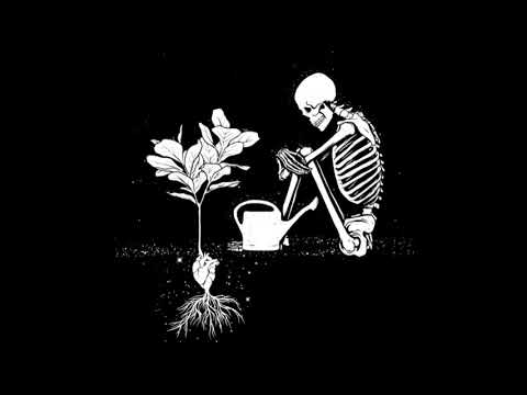 vifon x magik dyspozytor - popatrz prod jewfy *remix*