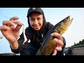 Video Thumbnail for Fishing with white jig for walleye & pike in shallow water