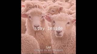 SAP : Stay inside. (Vic Chesnutt cover)
