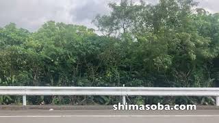 アカショウビン巣作り、オオクイナ、コムシクイ鳴き声(動画あり)