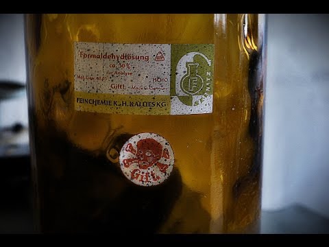 Lost Places XYZ Part 26 - White Mountain Lab