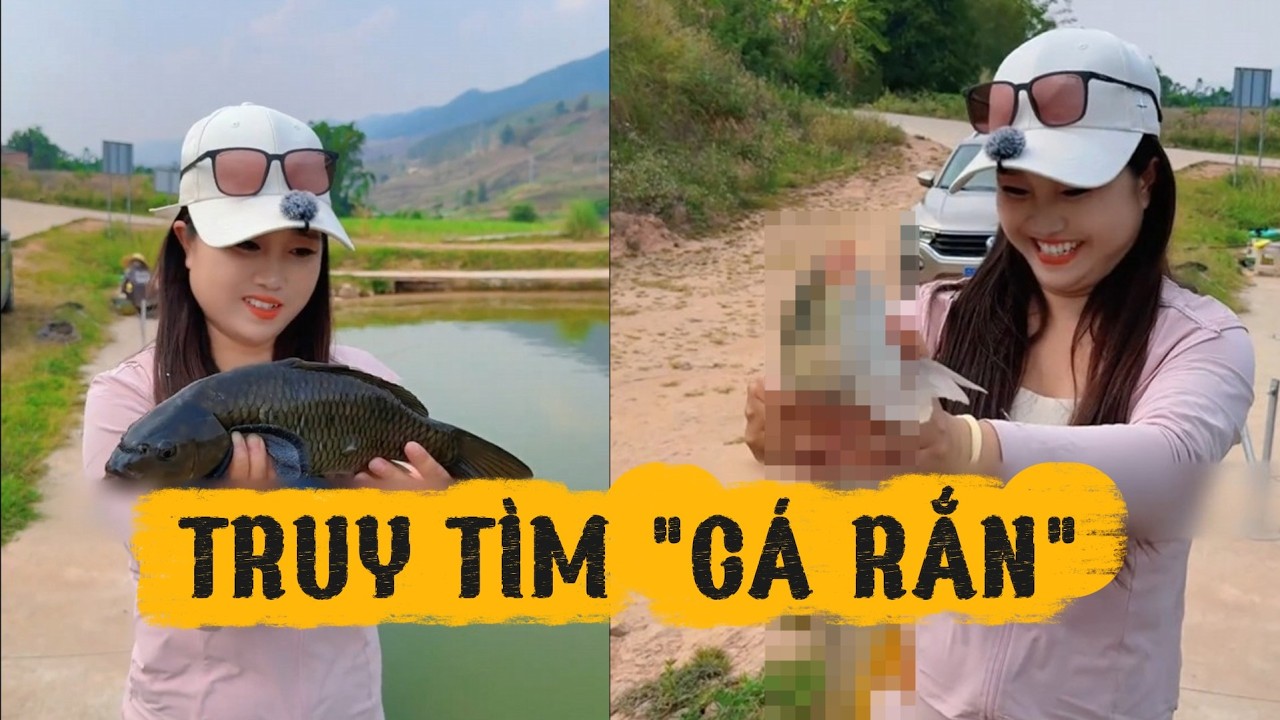 Thử thách câu cá rắn