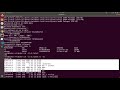 Dockerfile ENTRYPOINT And CMD
