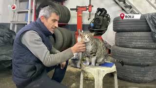 Oto Tamircisinin En Sadık Çırağı Şıkkıdı Oldu