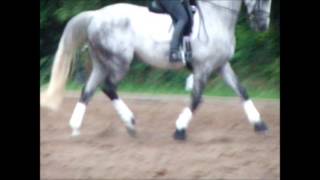 Video of Rasqulero