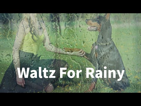 Waltz For Rainy Video