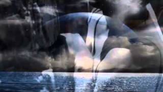 Terminal Choice - Out of the Dark