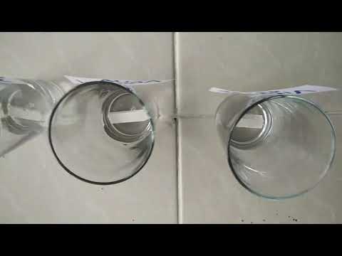 Efecto del ácido acético (CH3COOH) sobre las rocas carbonatadas.