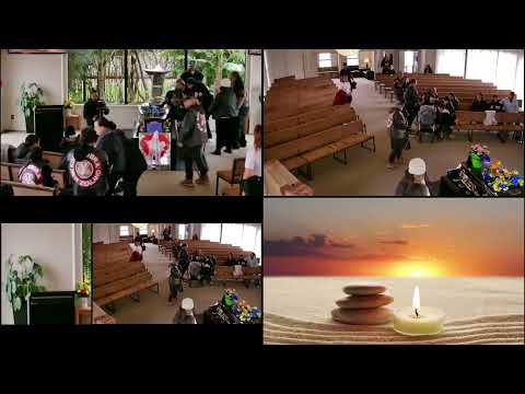 Selwyn Phillip Donner