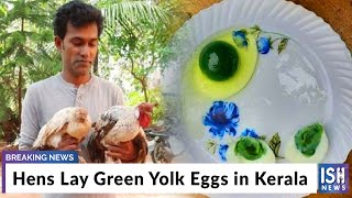 Hens Lay Green Yolk Eggs in Kerala