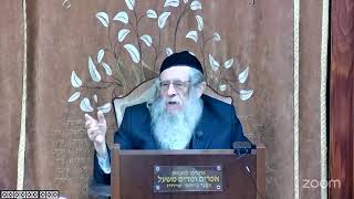 הרה"ג הרב וועכטר שליט"א ה' טבת תשפ"ה (הרב אברהם מנחם מענדל וכטר) - התמונה מוצגת ישירות מתוך אתר האינטרנט יוטיוב. זכויות היוצרים בתמונה שייכות ליוצרה. קישור קרדיט למקור התוכן נמצא בתוך דף הסרטון