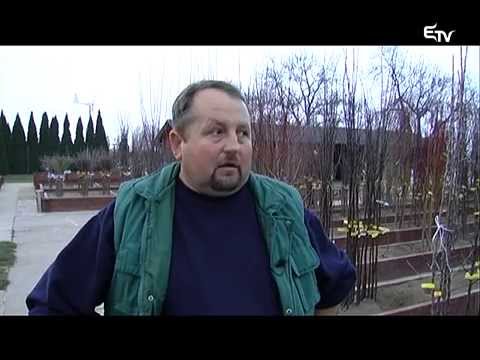 Tájkép 2014. december 1. – Erdélyi Magyar Televízió