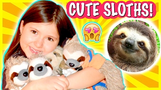 MY SLOTH BABIES | Sedona Fun Kids TV