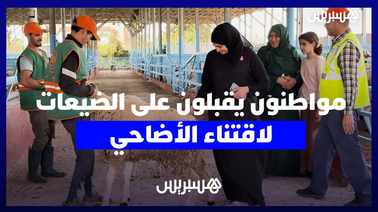 بعيداً عن الأسواق التقليدية.. مواطنون يقبلون على الضيعات لاقتناء الأضاحي قبل عيد الأضحى thumbnail