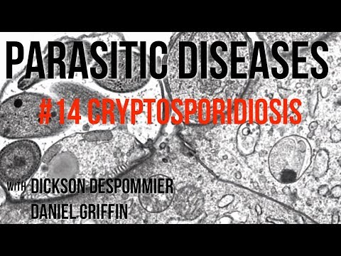 a cryptosporidium és a giardia tünetei)