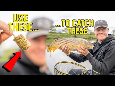 Catch MORE Carp On The Feeder! | Sam Collett | The Glebe