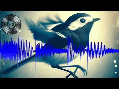 Mix Tape - Bird Back - Samp And Giggs - UK Hip Hop