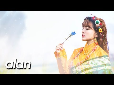alan ( 阿兰 阿蘭) 『遠飛的大雁 』Chinese & Tibetan Version by miu JAPAN