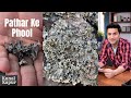 What Is Stone Flower Dagad Flower Kalpasi Stone Flower Kunal Kapur Recipes Uttarakhand