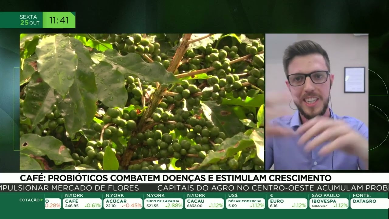 Café: probióticos combatem doenças e estimulam crescimento