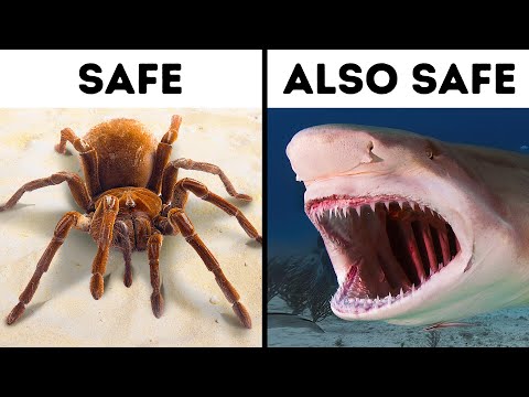 70+ Facts That Will Make You Say "I Didn't Know That!"