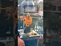 Tujhse Na Suljhe Tere Uljhe Hue Dhandhe Ll Song Status Video KrishnaGyan Sagar