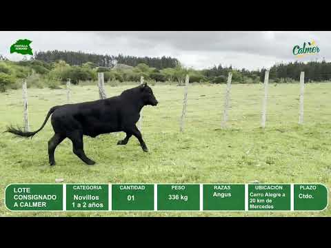 Video del lote L0-000855