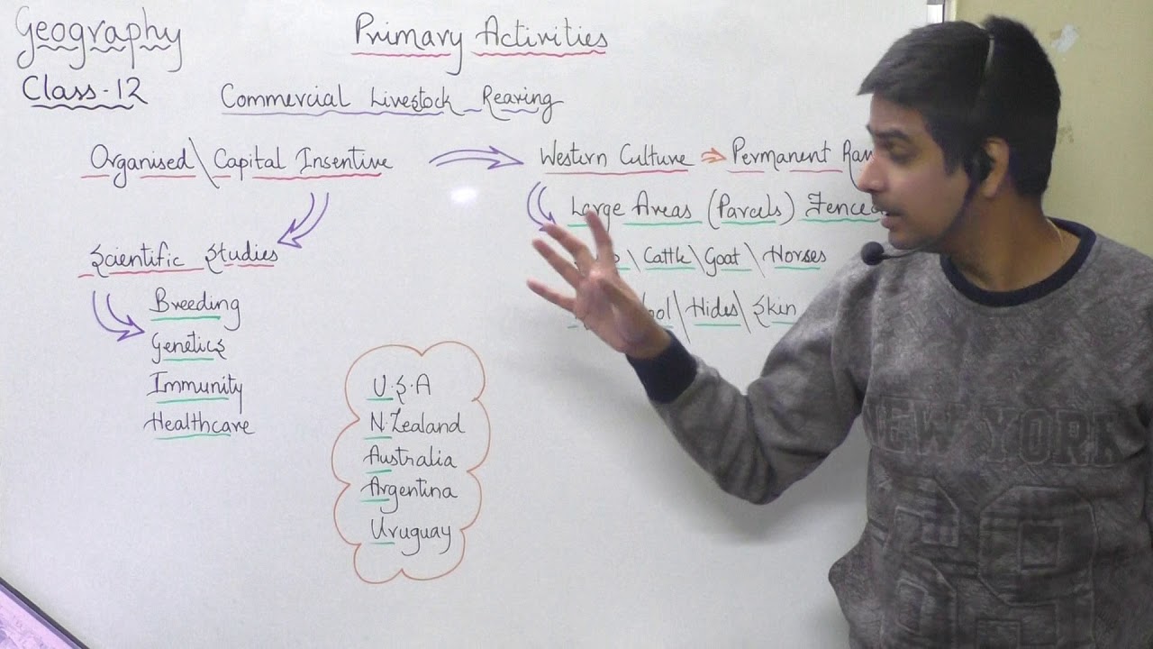 Commercial livestock Rearingclass 12  Geography Primary activities