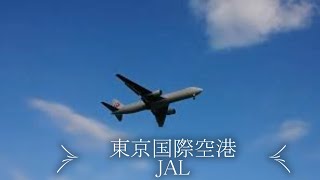 東京国際空港（Tokyo International Airport)日本航空JAL着陸 #Short