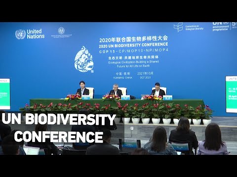 image-Are there any endemic species in China?
