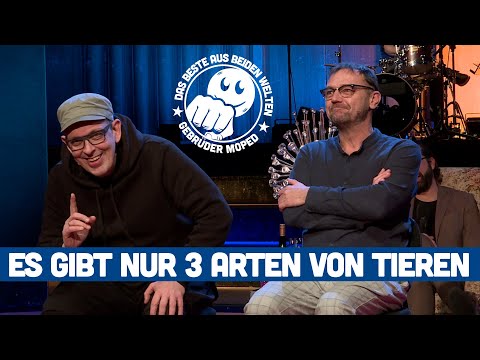 Gebrüder Moped: Es gibt nur 3 Arten von Tieren