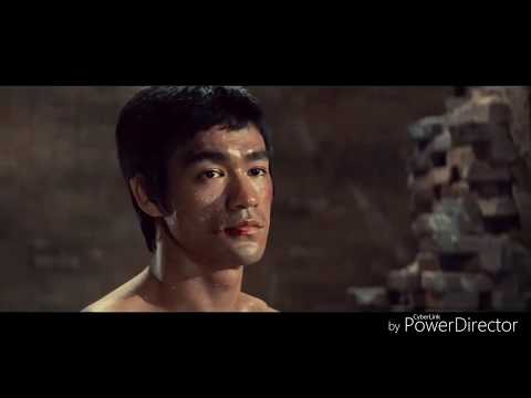 Bruce Lee vs Chuck Norris ( Guile Theme Goes With Everything )