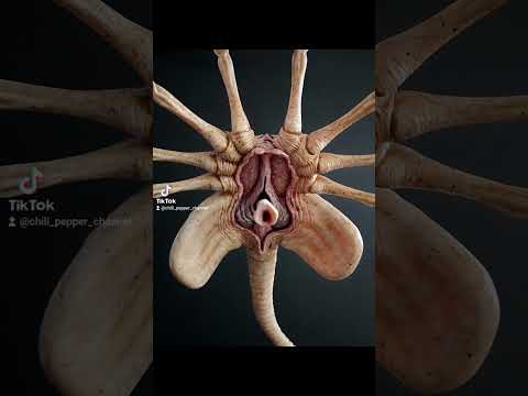 Facehugger and their creatures #viral #shorts #alien #viralvideo #live #funny