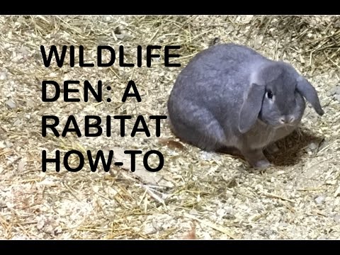 ABC acres: Building a Wildlife Den - episode #072