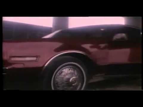 Ninja Amerikada - Ninja Usa DVDRip Türkçe Dublaj