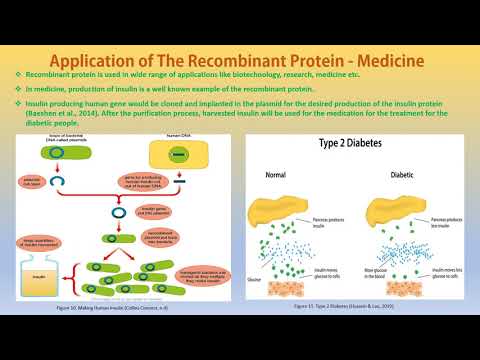 The Use Of Recombinant Proteins In Medicine
