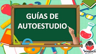 1. LAS GUÍAS DE AUTOESTUDIO