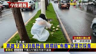 Re: [新聞] 高雄警「安全島拔香菇」奇景PO網　基層炸