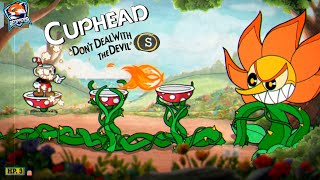 Como Vencer a la flor de Cuphead experto sin recibir daño (Perfect Run)-[Expert]-(Rank-S/ No Damage)