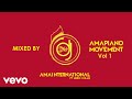 DJ Stokie - Amainternational (Extended Mix / Visualiser) ft. Lebo, Killa