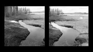 Sinikka Langeland: "The blue tit's spring song" from the album "The half-finished heaven"