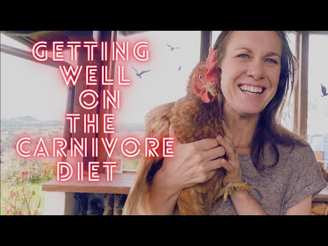 Can the carnivore diet fix my mental health?