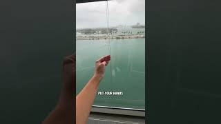 This is a balcony room on wonder of the seas with royal carribean! My husband and I shared the