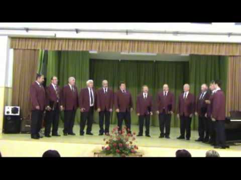 MoPZ KUD Pavle Voje Polšnik - Pri meni bod (Peter Jereb, solo: Zvone Jelenc)