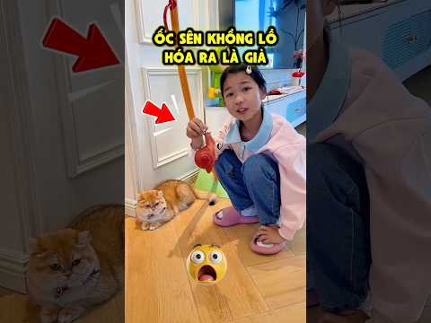 Chị Gái Phát hiện ốc sên khổng lồ 😬🐌