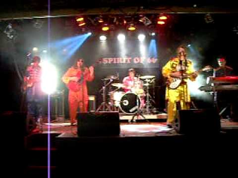Day Tripper - Sgt. Pepper's Only Dart Board Band