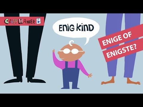 Wat is het verschil tussen enige en enigste?