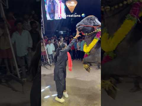 SWAPNA YADAV SADAR AGMAN 2024 | sadar festival grand Celebration 2024 | #sadarfestival #subscribe