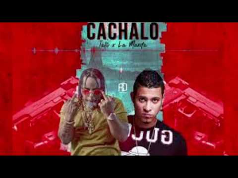 La Manta X Tali - Cachalo