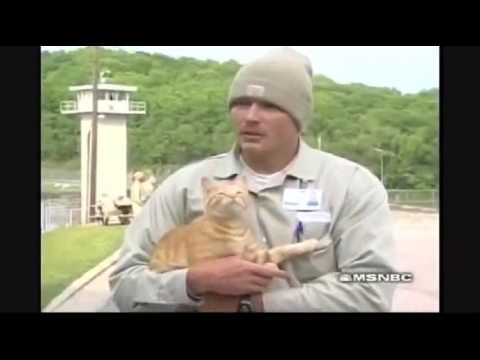 Prisoners and their cats.